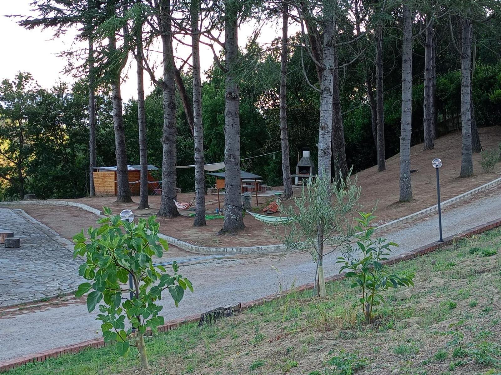 B&B Villa Bianca Sant'Agata  Kültér fotó